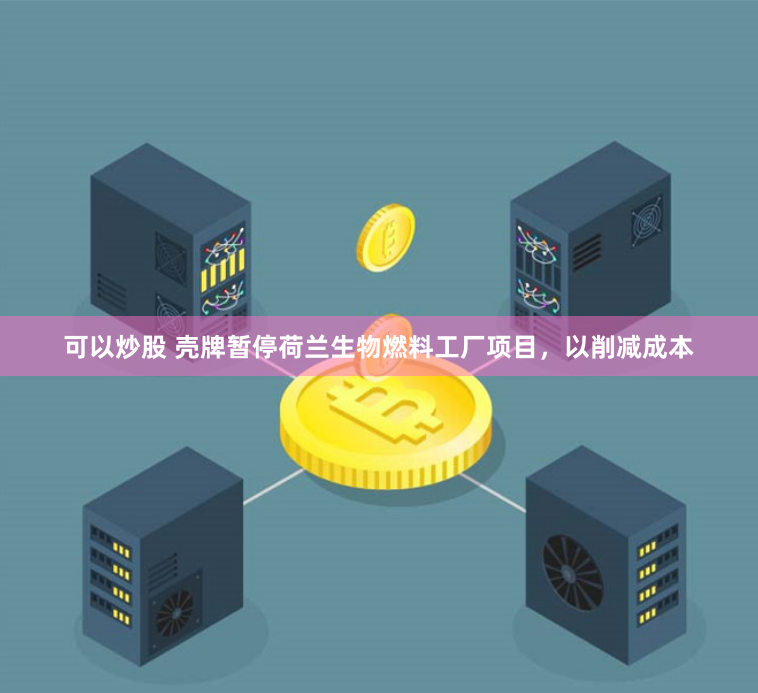 可以炒股 壳牌暂停荷兰生物燃料工厂项目，以削减成本