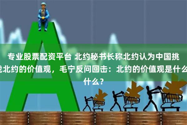 专业股票配资平台 北约秘书长称北约认为中国挑战北约的价值观，毛宁反问回击：北约的价值观是什么？