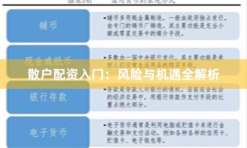 散户配资入门：风险与机遇全解析