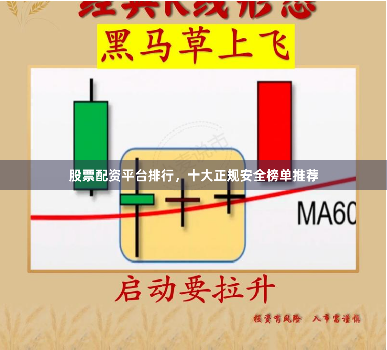 股票配资平台排行，十大正规安全榜单推荐